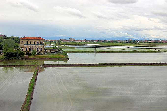 Reisfelder in der Nhe von Novara