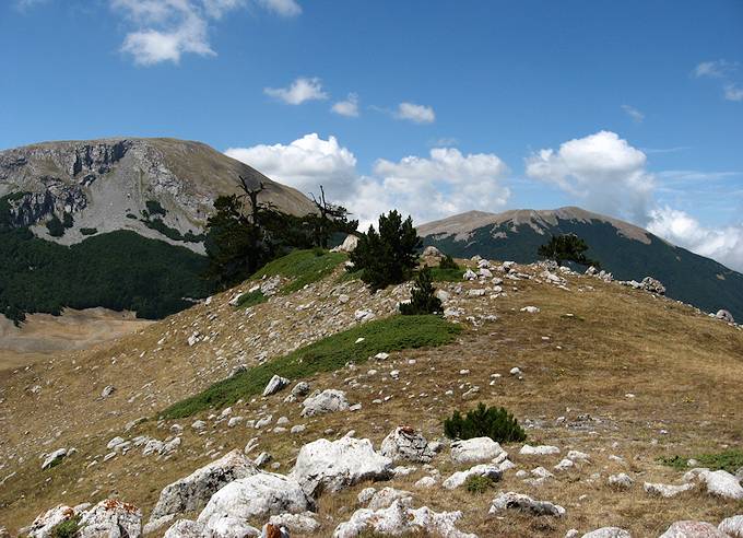 Nasilikata Nationalpark Pollini