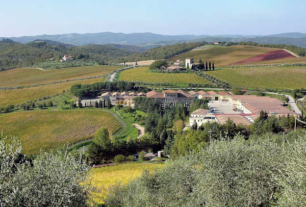 Weinberge bei Gaiole in Chianti