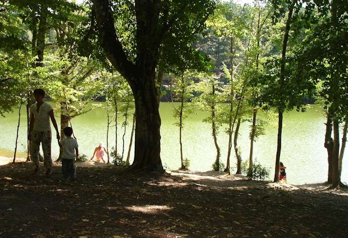 Foresta Umbra (Gargano)