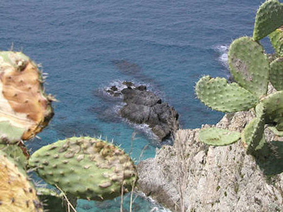 Capo Vaticano