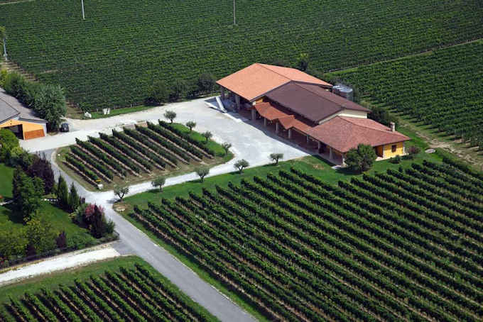 Das Weingut Bulgarini