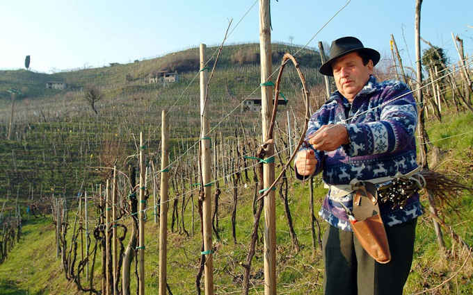 Im Weingut Marsuret