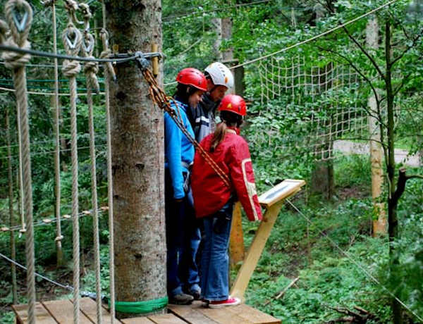 Kletterparks sind beliebt bei Gro und Klein