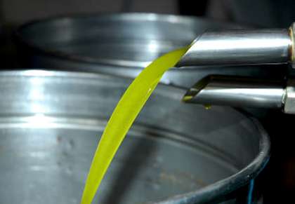 Das gerade zentrifugierte Olivenöl