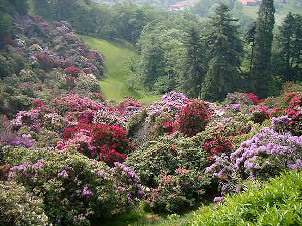 Sesiatal - Der Parco Burcina