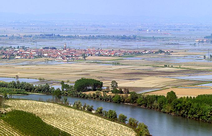 Reisfelder, Provinz Vercelli