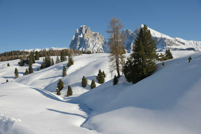 die Seiser Alm im Winter