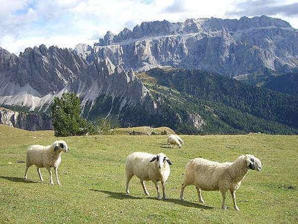 Südtirol - Grödnertal