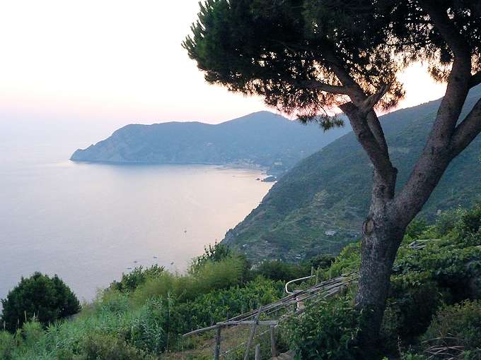 Vernazza